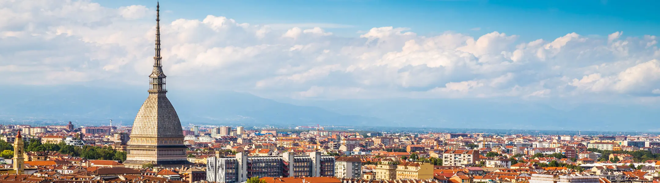 Piedmont wine region