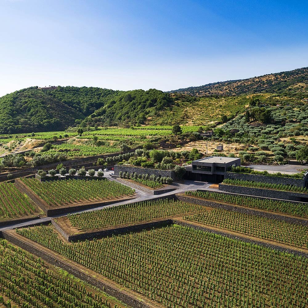 Pietradolce winery image 4