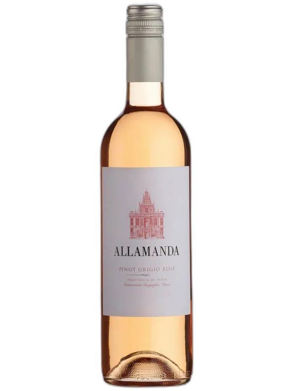 Allamanda Pinot Grigio Rose Allamanda