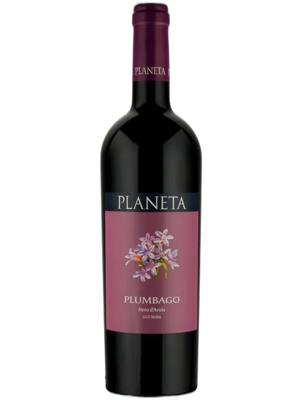 Planeta Planeta Plumbago 2023