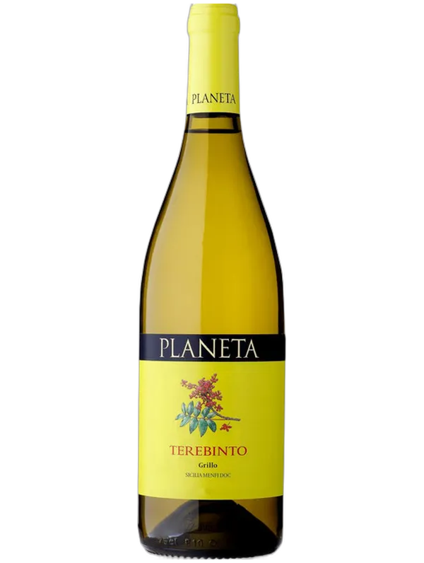 Planeta Planeta Terebinto 2024
