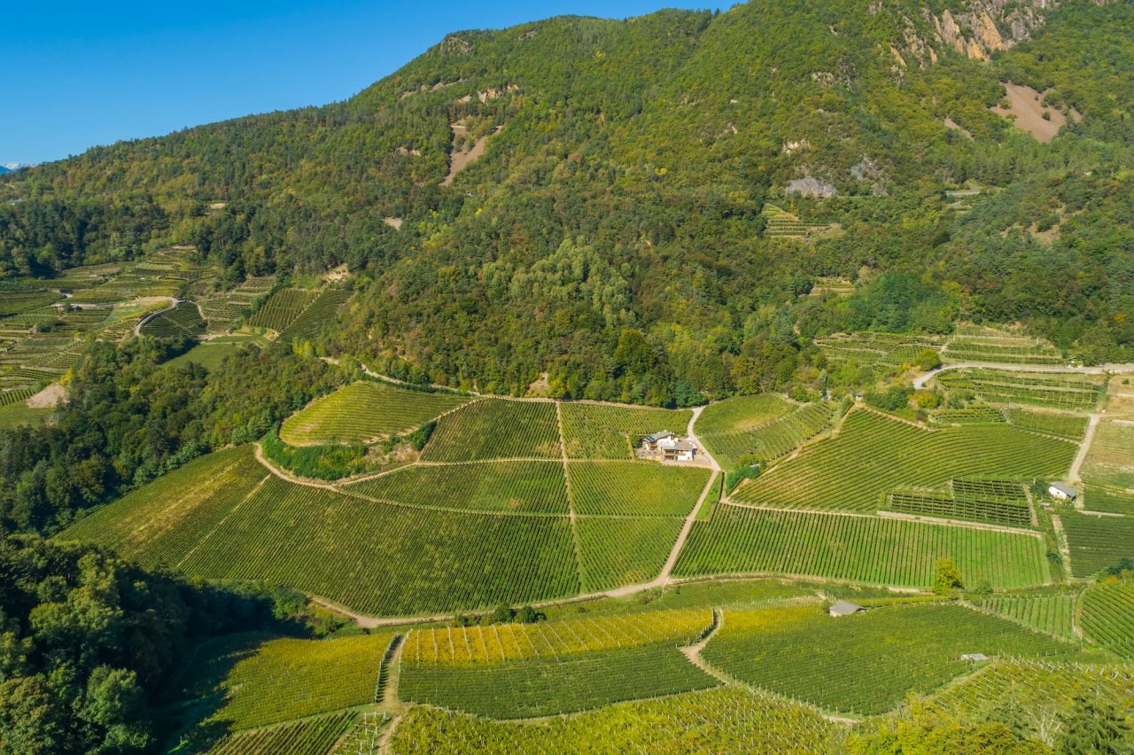 Pojer & Sandri winery image 2