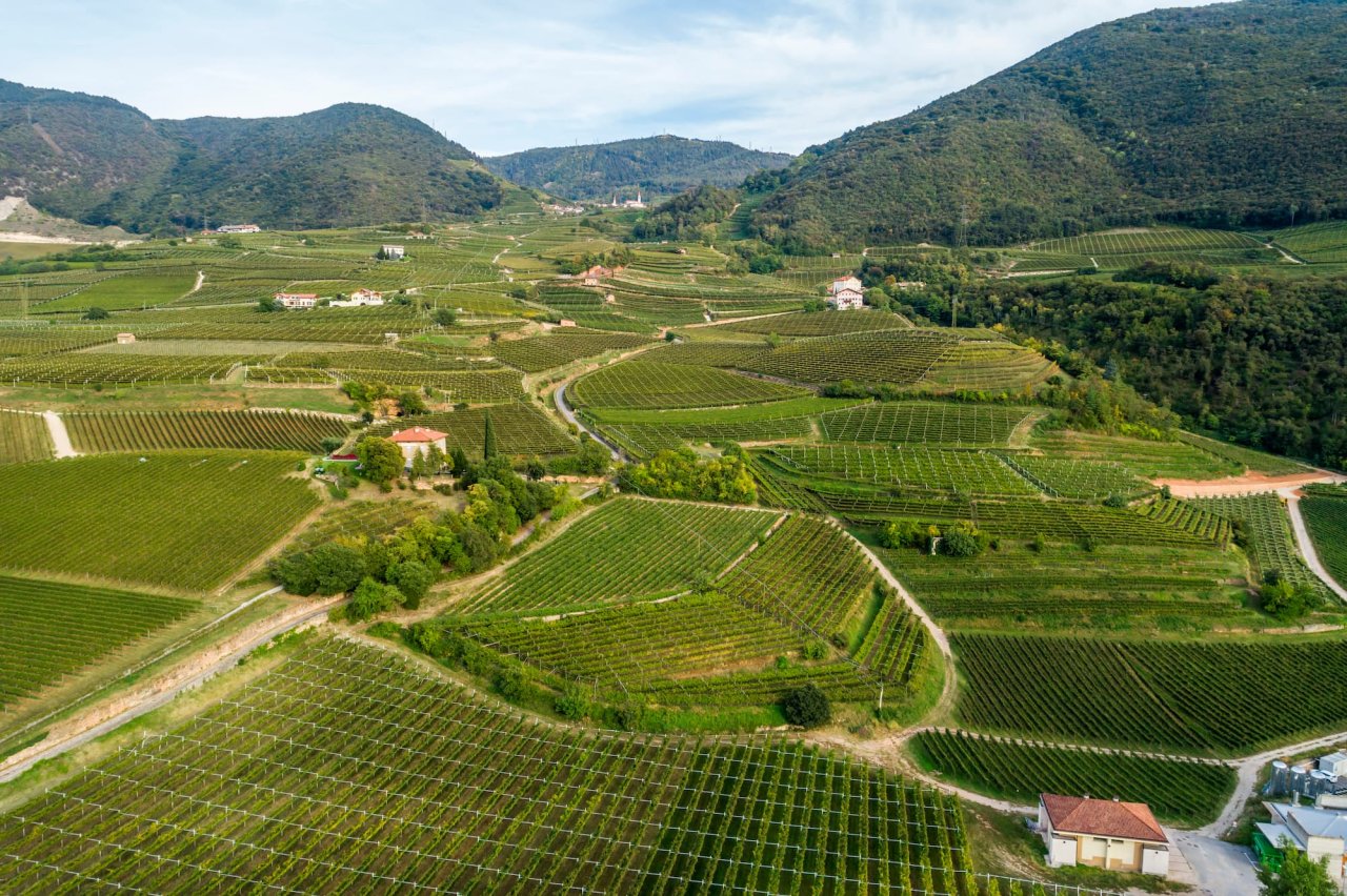 Pojer & Sandri winery image 1