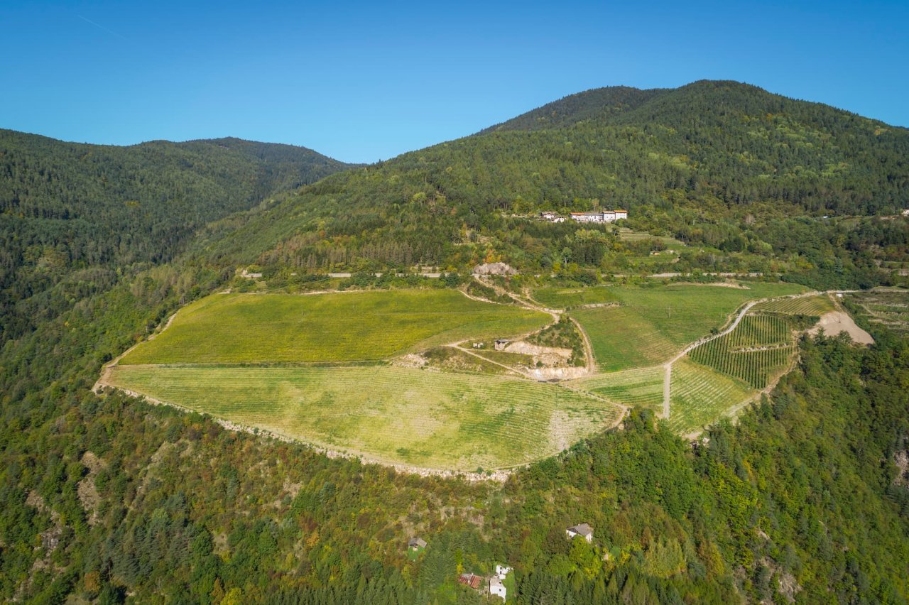 Pojer & Sandri winery image 3
