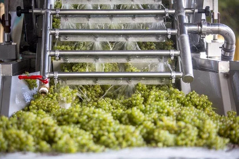 "Zampognaro" Tasting and Winery Tour at Pojer e Sandri at Pojer & Sandri