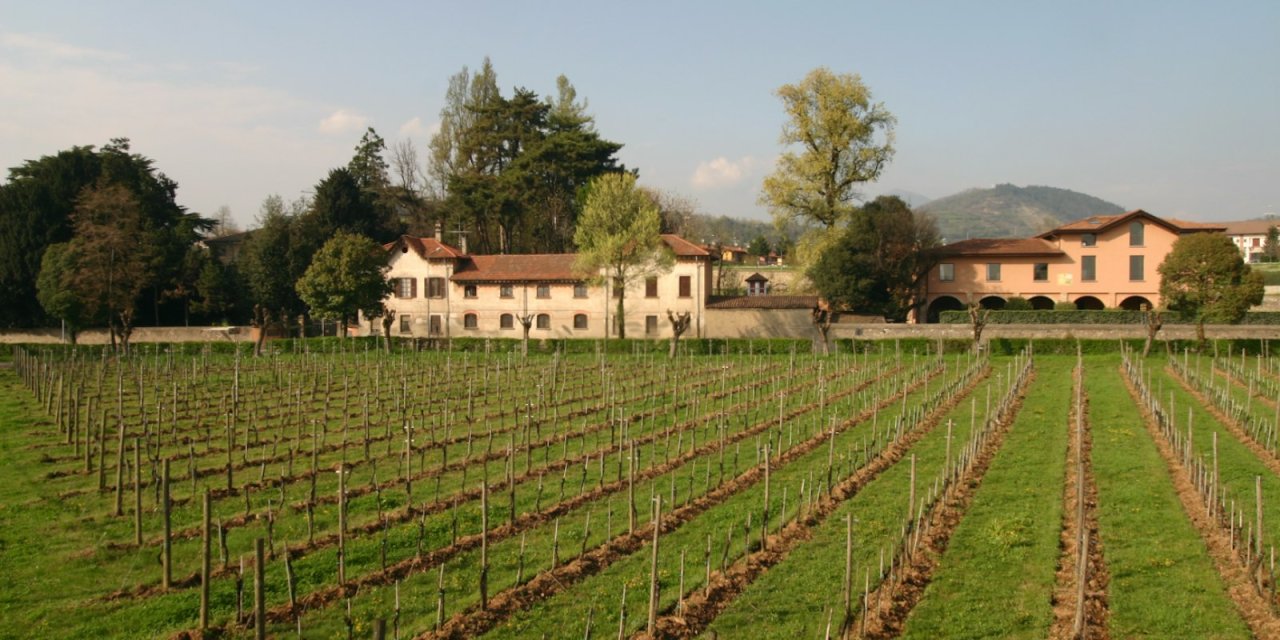 Rows of vines in front of the pink estate house of Ricci Curbastro at Capriolo