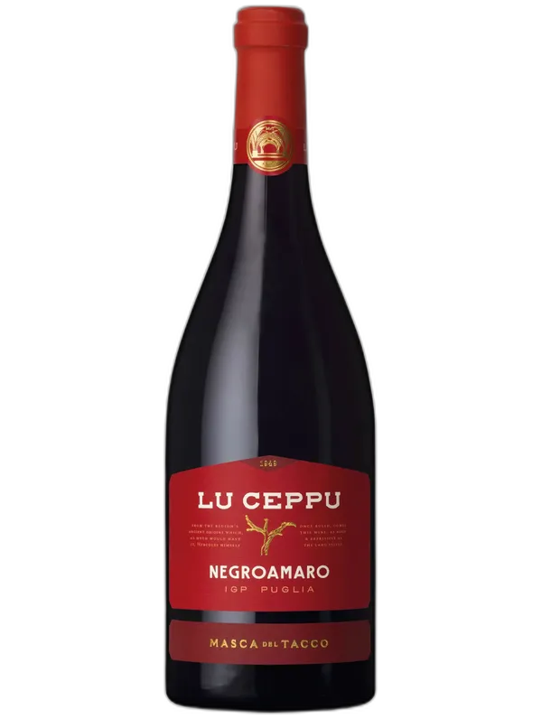 Masca del Tacco Puglia IGP Negroamaro Lu Ceppu Masca del Tacco 2025