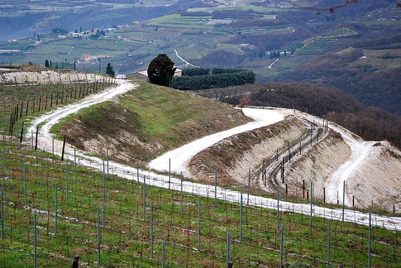 Giuseppe Quintarelli winery image 3