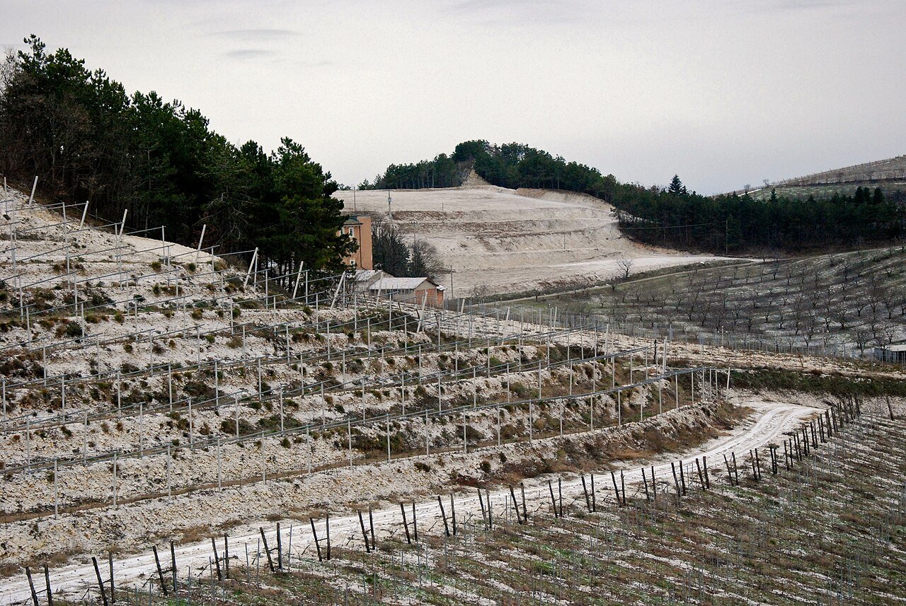 Giuseppe Quintarelli winery image 4