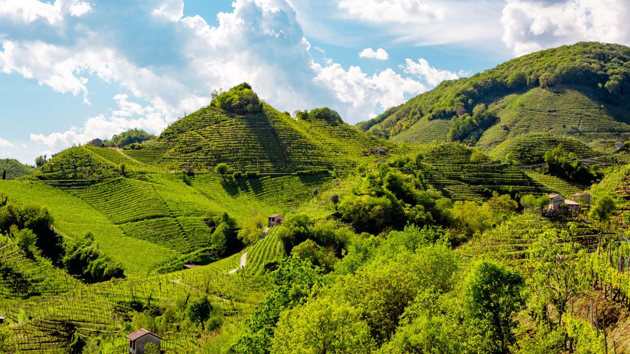 Steep green vineyard hills of the Rive di Colbertaldo under a summer sky