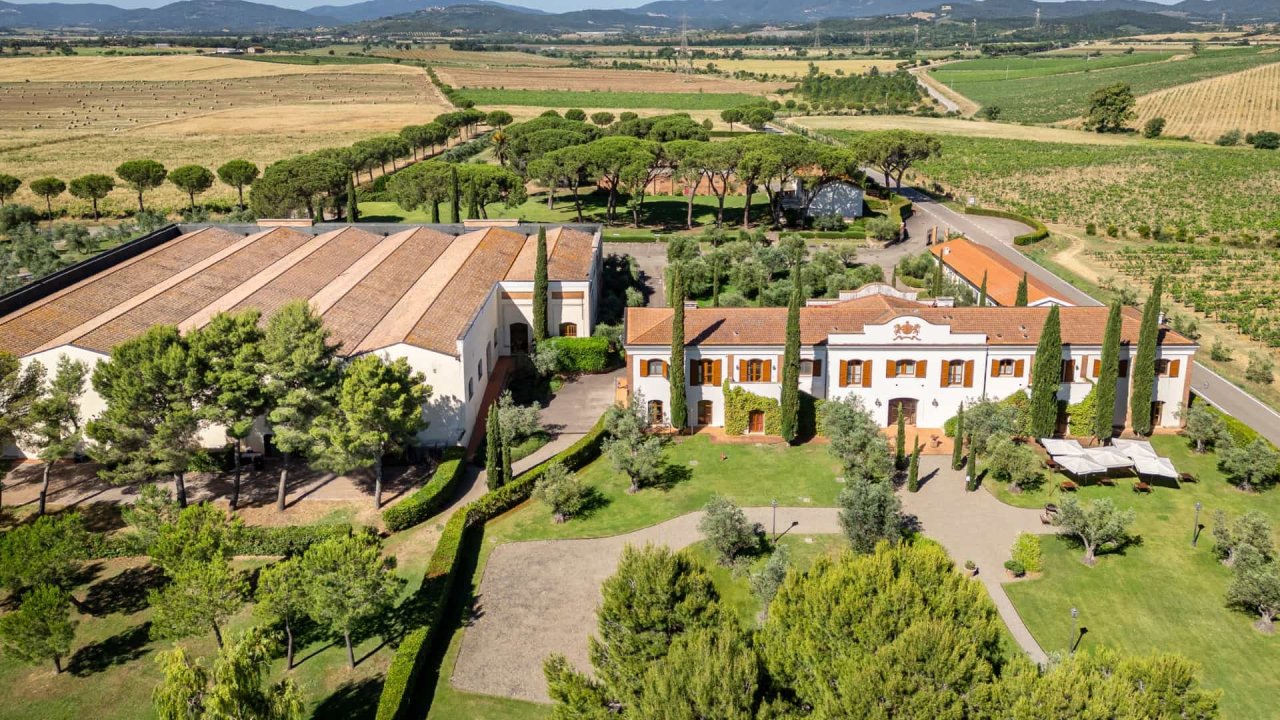 Aerial view of the Rocca di Montemassi estate buildings among vineyards, wheat fields and pine trees