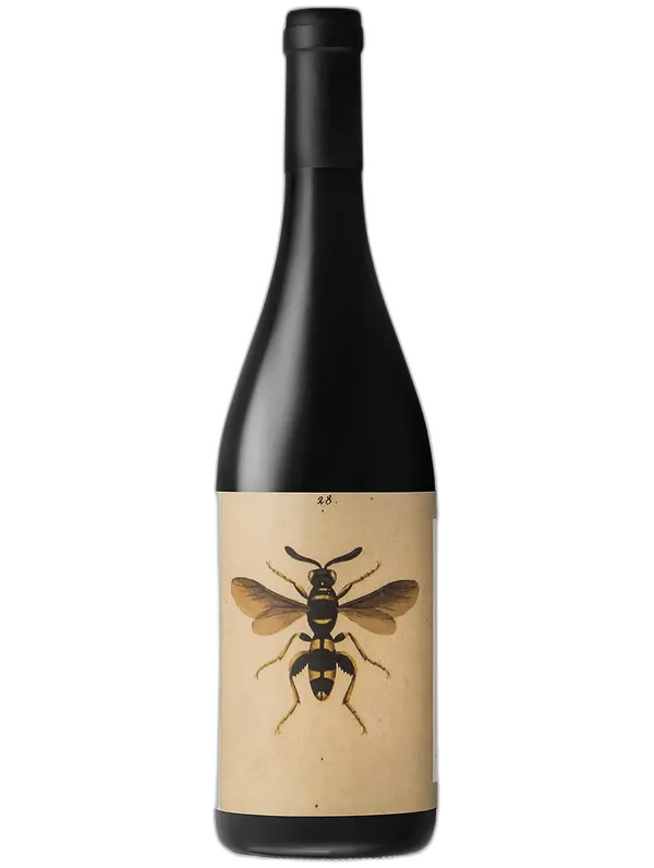 Azienda Agricola Tenuta Pandolfa Romagna Sangiovese Superiore DOC Il Noelia Ricci Tenuta Pandolfa 2024