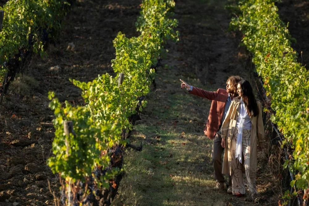 Casa Ruffino Signature Wine Tour at Ruffino