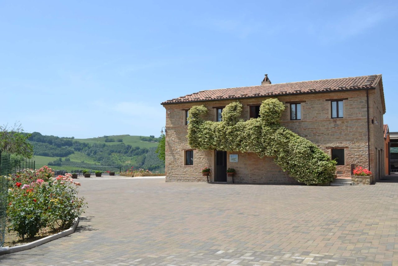 Sartarelli winery image 3