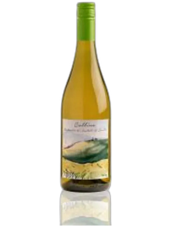 Azienda Agricola Sartarelli Sartarelli Colline Verdicchio dei Castelli di Jesi 2022