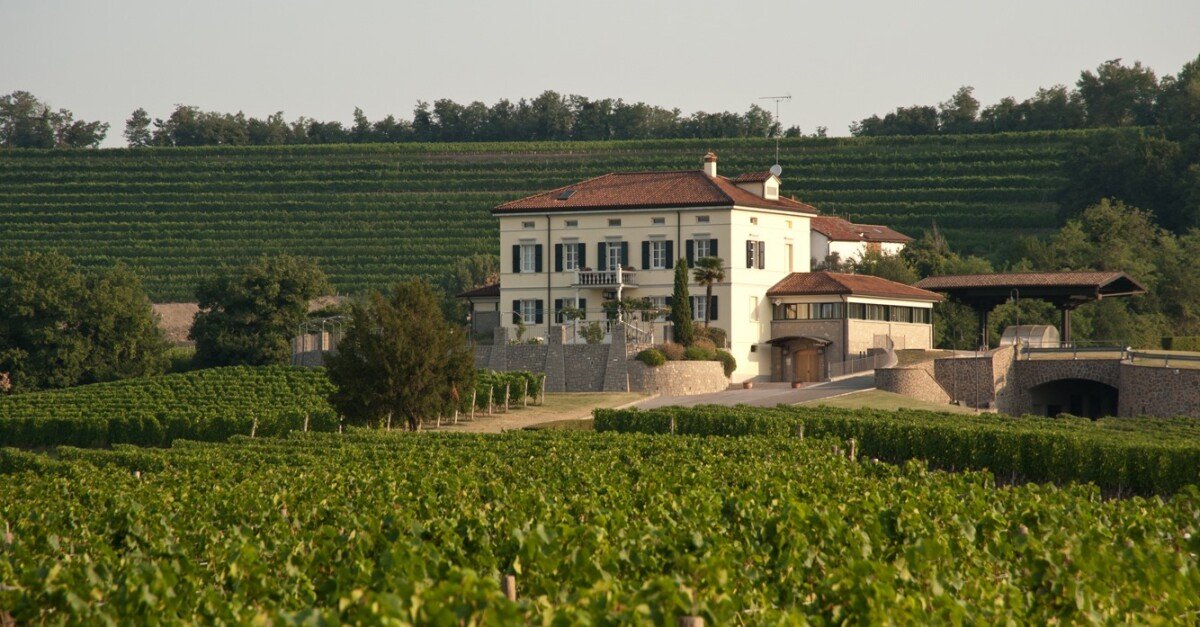 Cellar and vineyard visit with five-wine tasting at Azienda Agricola Schiopetto