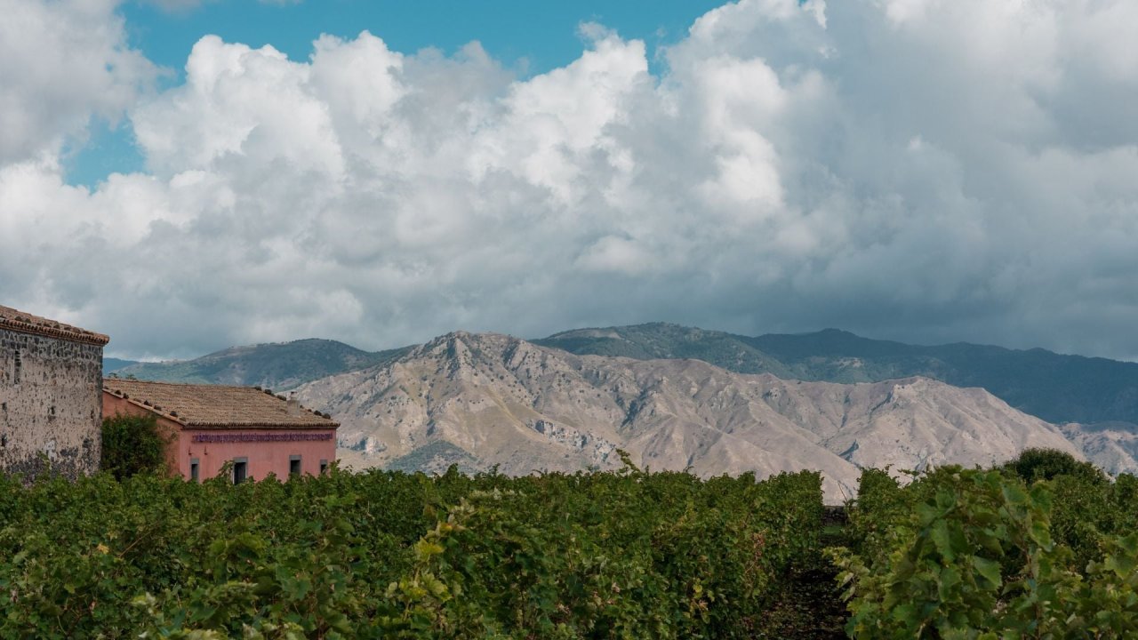 Vertical Etna at Sciaranuova at Planeta
