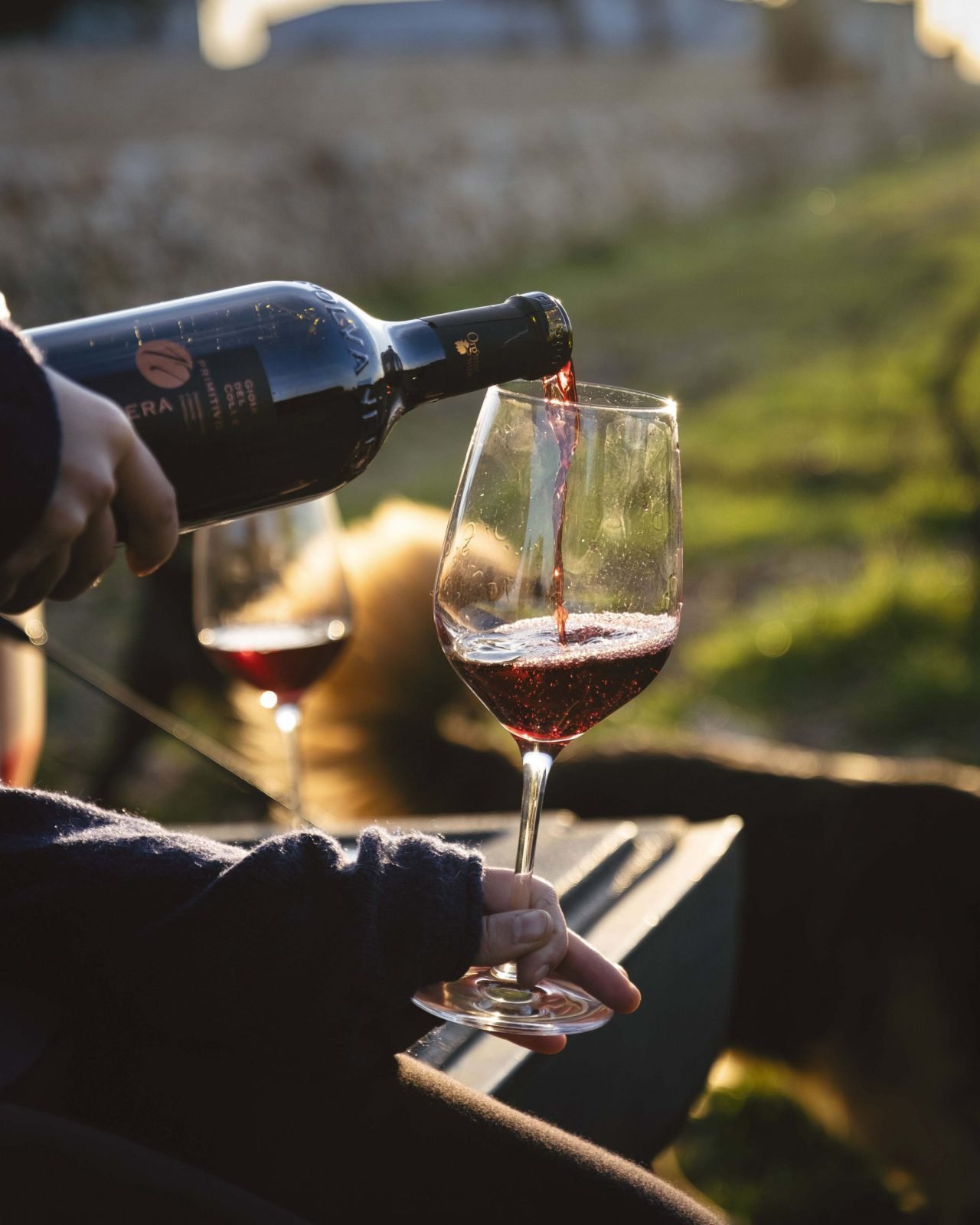 Discover the Murgia at Cantine Polvanera