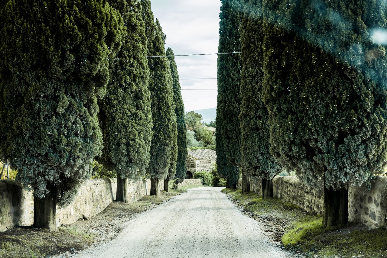 Sesti winery image 4