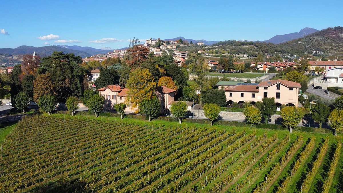 Vine rows and the farm buildings of Ricci Curbastro at Capriolo, with the village and hills behind