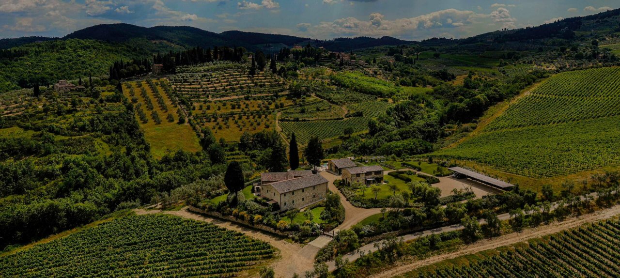 Tenute Folonari winery image 2