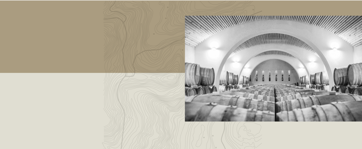 Azienda Agricola Serracavallo winery image 2