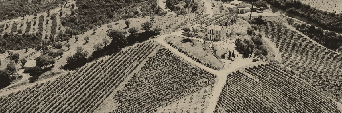Azienda Agricola Serracavallo winery image 1