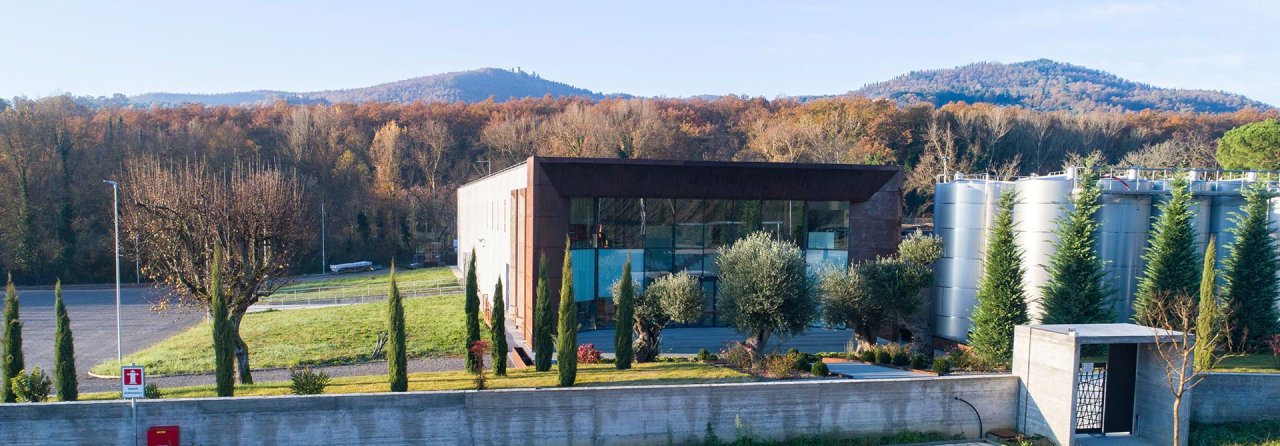 The modern Barbanera winery building set among vines and cypresses at Cetona