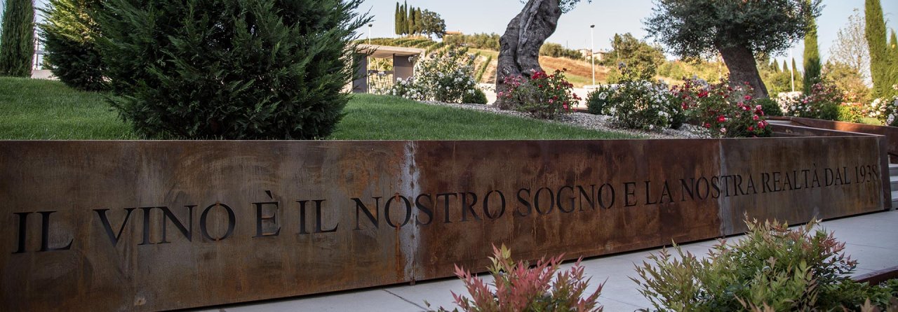 A stone wall at Barbanera carved with the words Il vino e il nostro, with vines behind