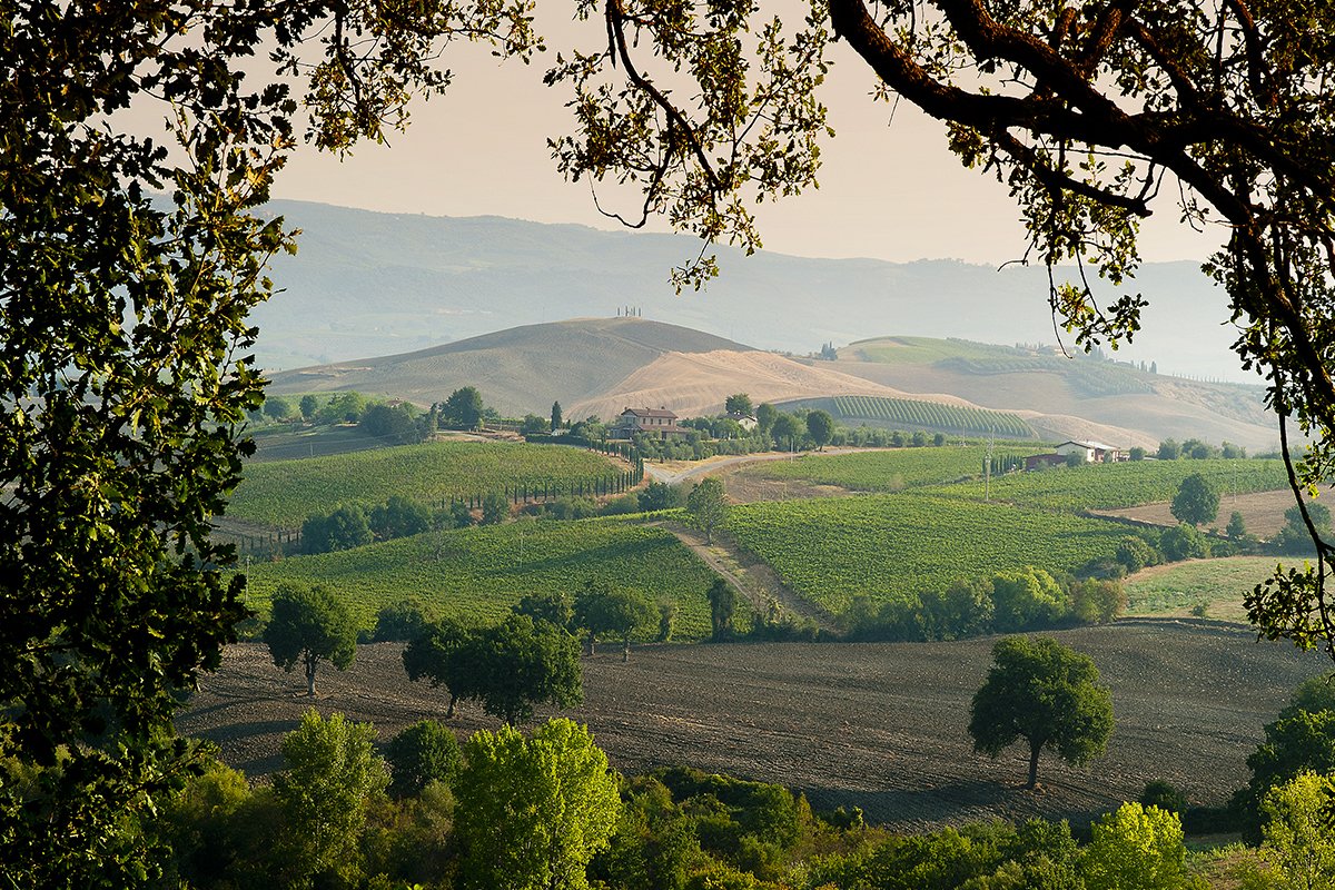 Tenuta Ribusieri winery image 1