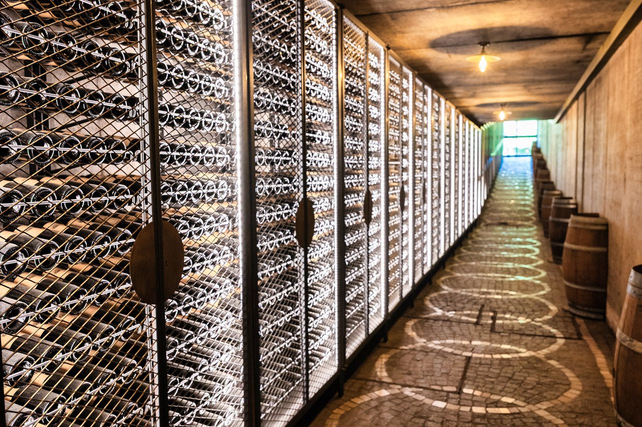 Guided Vineyard Tour and Classic Selection Tasting at Azienda Agricola Casale del Giglio