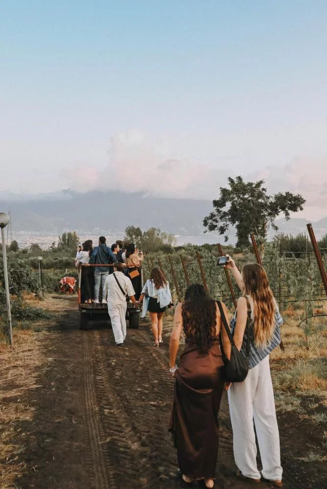 79 AD Trekking and Wine Tasting at Sorrentino Vini on the Vesuvius at Sorrentino