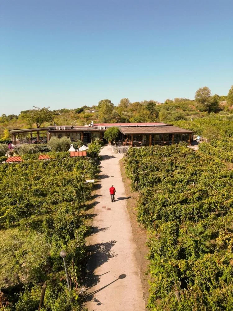 "Essence" Escape: 1 night at Sorrentino Vini in Naples at Sorrentino