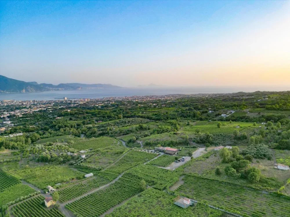 "Cru" Escape: Wine Holiday on Vesuvius with 2 Wineries and 9 Volcanic Wines at Sorrentino