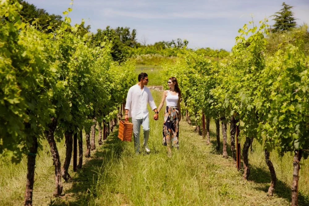 Spolert Winery - Picnic in the vineyard in Prepotto at Spolert Winery