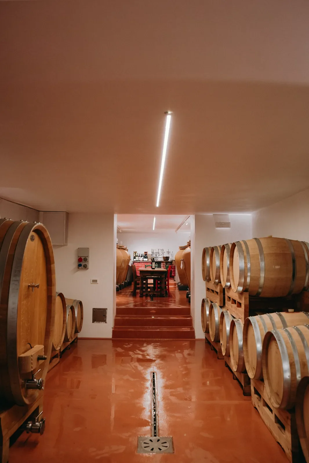Spolert Winery winery image 3