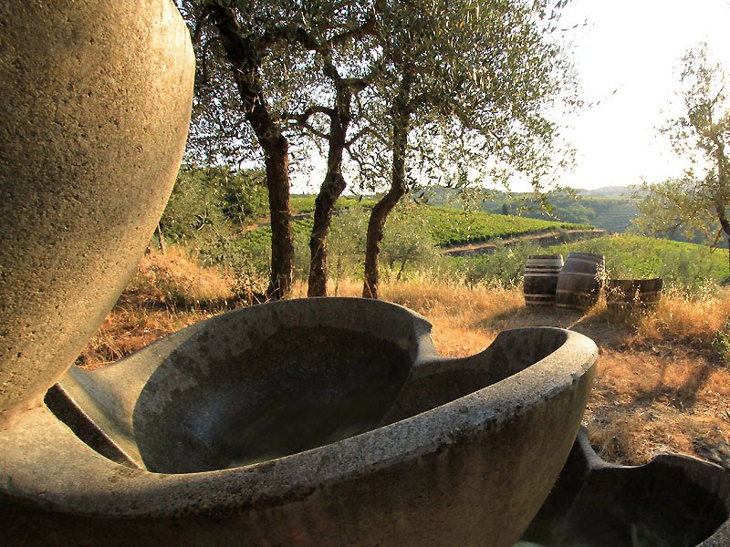 Castello dei Rampolla winery image 2