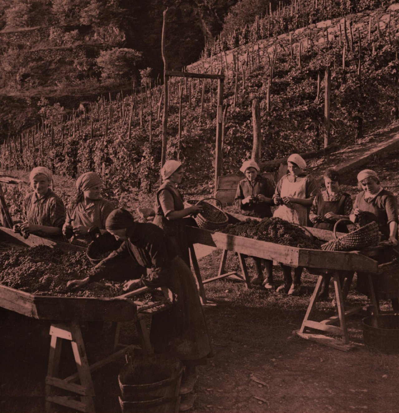 Taste Valtellina at Nino Negri