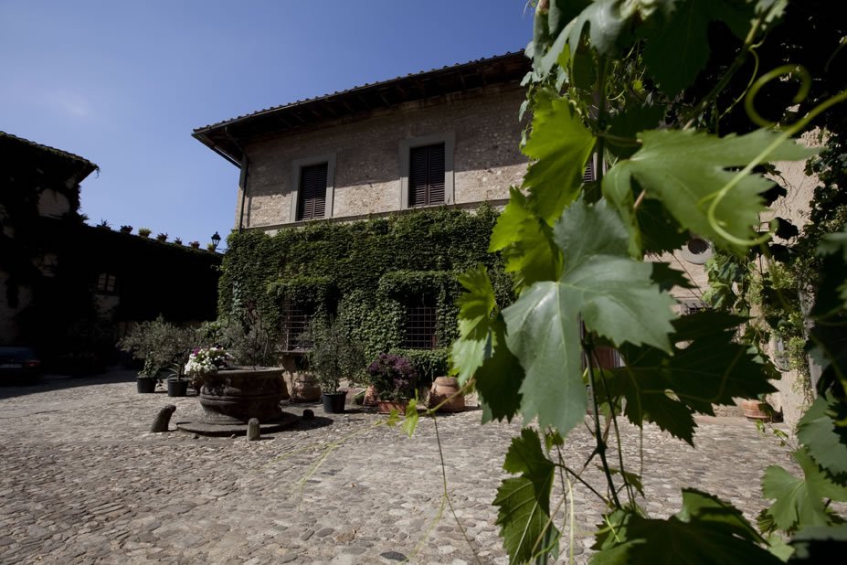 Wine and olive oil tasting at Castello di Poppiano