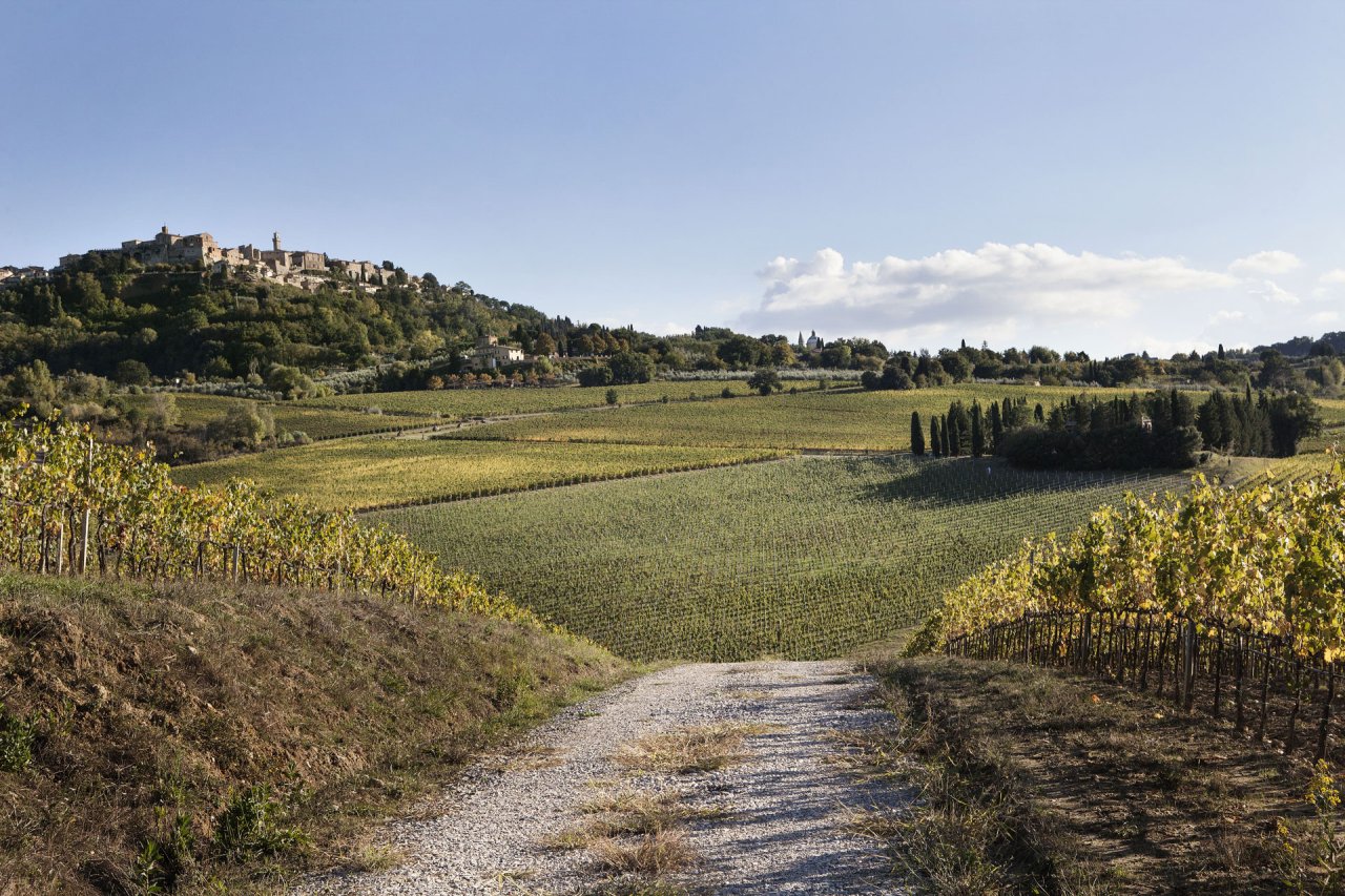 A white gravel road through the Canneto vineyards, leading towards Montepulciano on its hill