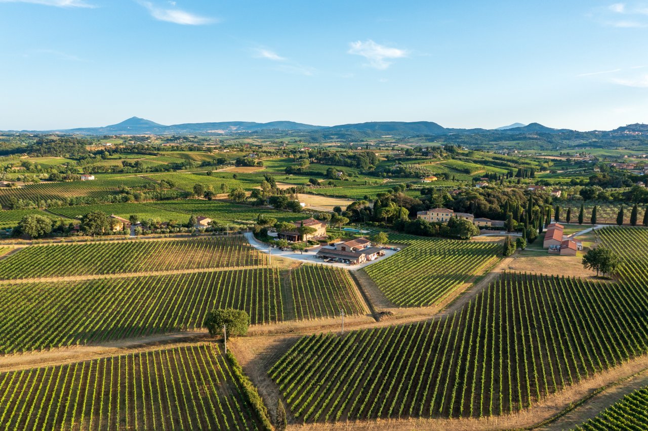Aerial view of the vineyards at Fattoria Svetoni, with farm buildings among the rows and hills on the horizon