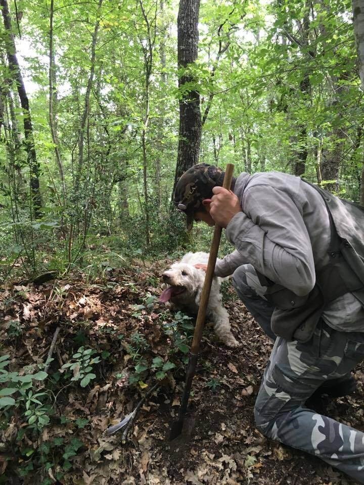 Truffle hunt and tasting at Guidi 1929