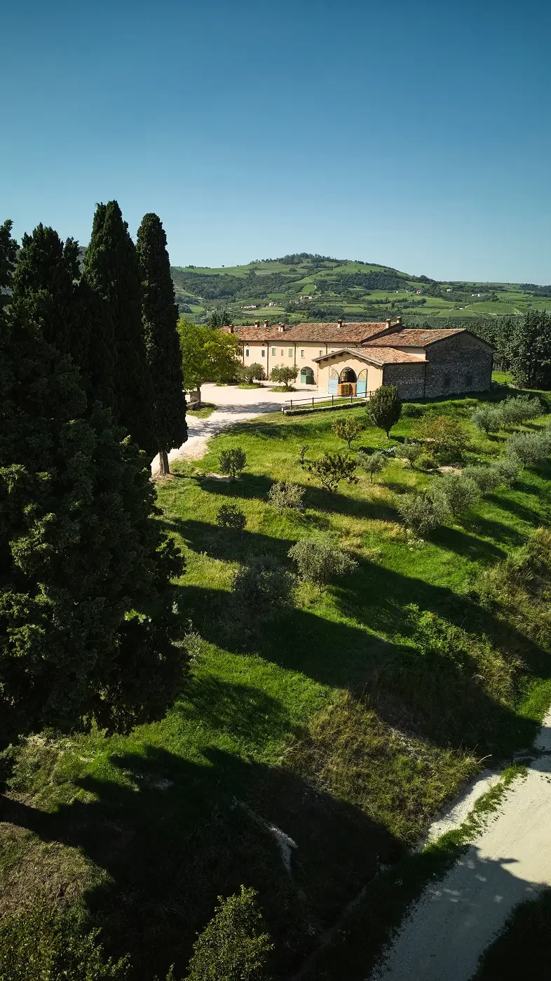 Tedeschi winery image 4