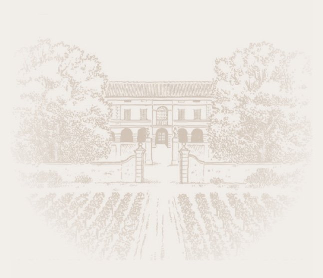 Azienda Agricola Il Mosnel winery image 5