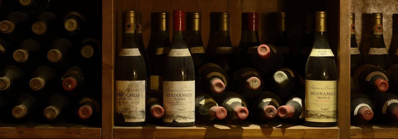 A day as a winemaker at Tenuta del Buonamico