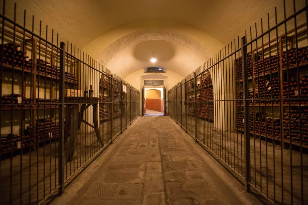 Cellar tour & Tasting at the Capezzana Winery at Tenuta di Capezzana