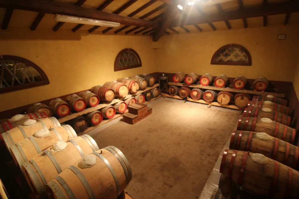 Estate Tour and Tasting Experience at Capezzana Winery at Tenuta di Capezzana