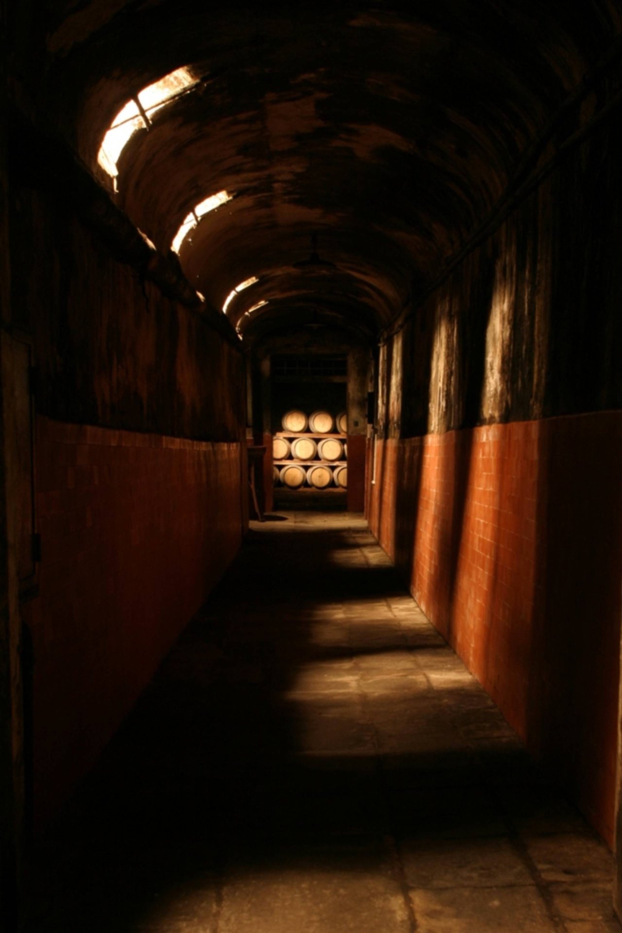 Cellar Wine Tour at Tenuta di Capezzana