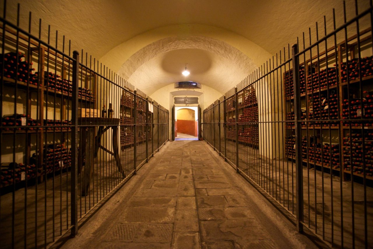 Wine Tour Experience at Tenuta di Capezzana