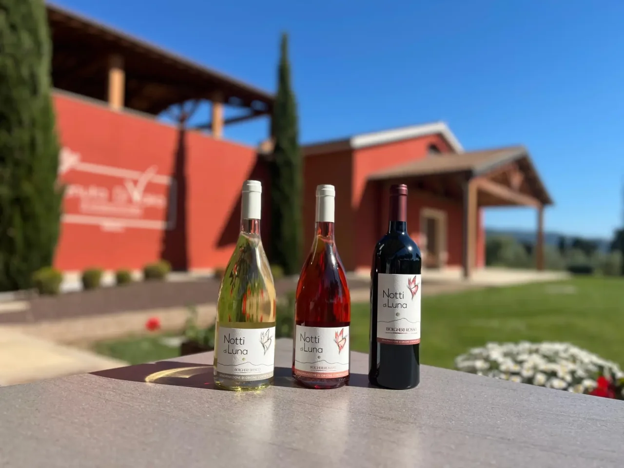 The Visit and Tasting Selections at Tenuta Di Vaira
